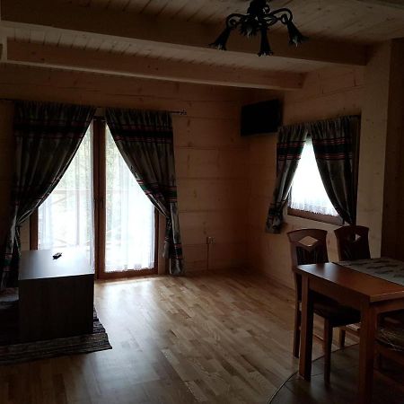 U Garczkow Villa Witów Dış mekan fotoğraf